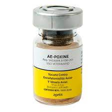 AE + POXINE 1,000 DS