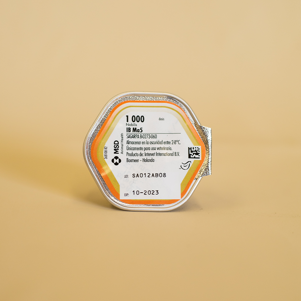 NOBILIS IB - MA5 SPH 12 X 1,000 DS