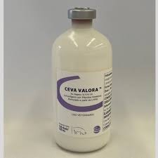CEVA VALORA 100 DS. MX
