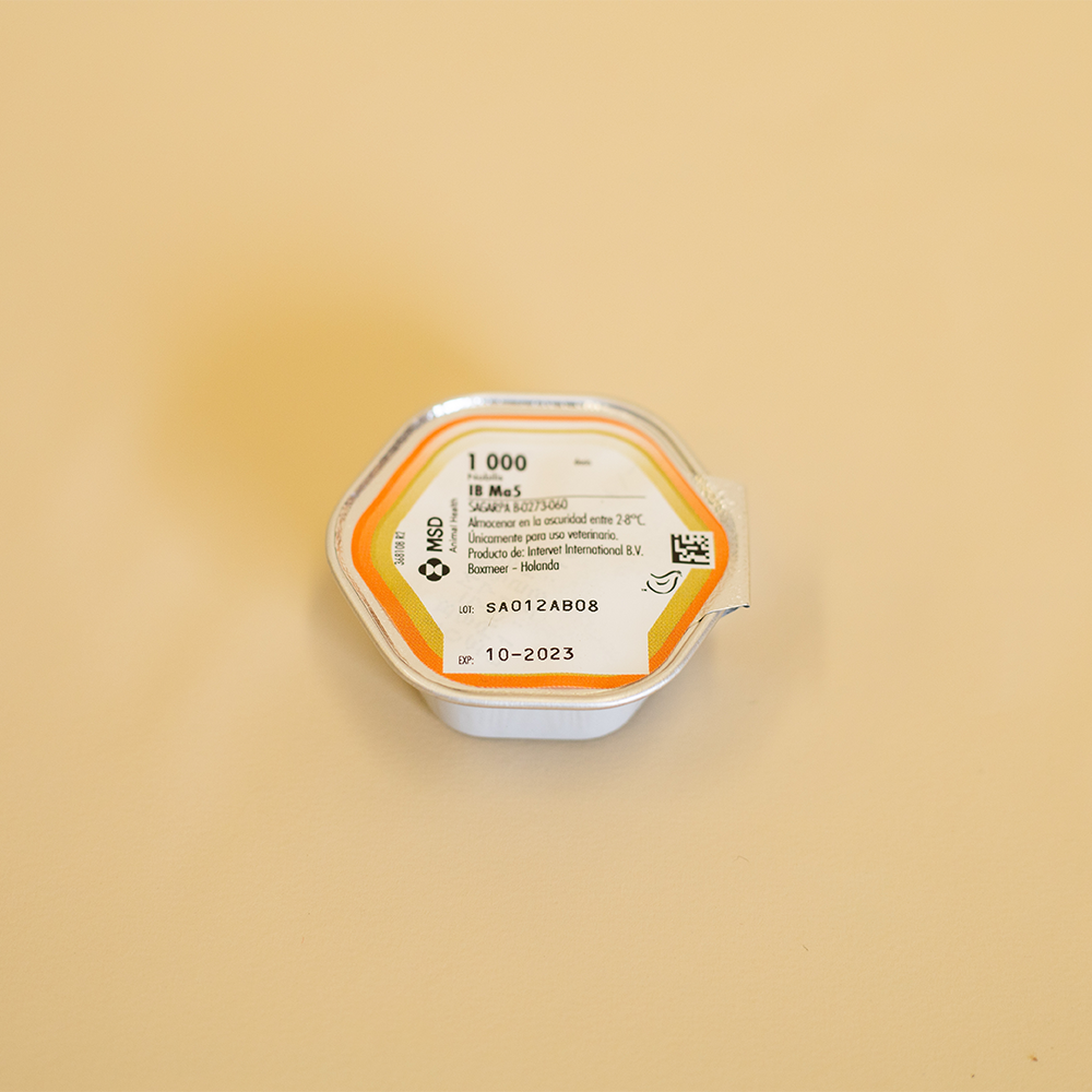 NOBILIS IB - MA5 SPH 12 X 1,000 DS