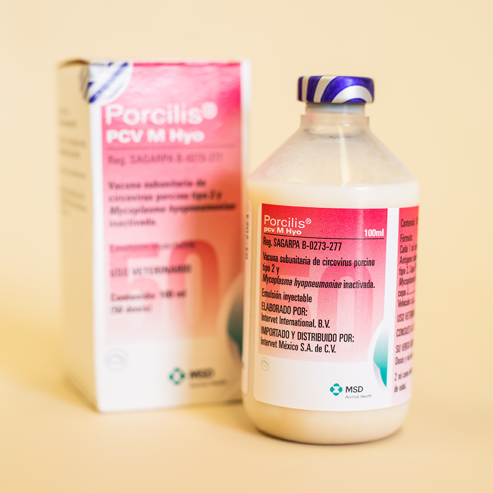 PORCILIS PCV M Hyo 1 X 100 ML. 50 DS.