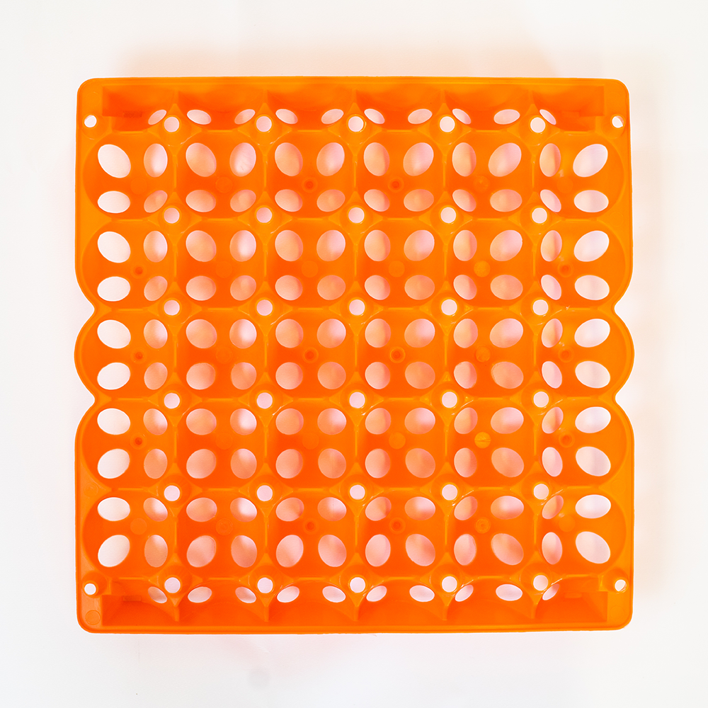 FILLER P/30 HUEVOS JUMBO