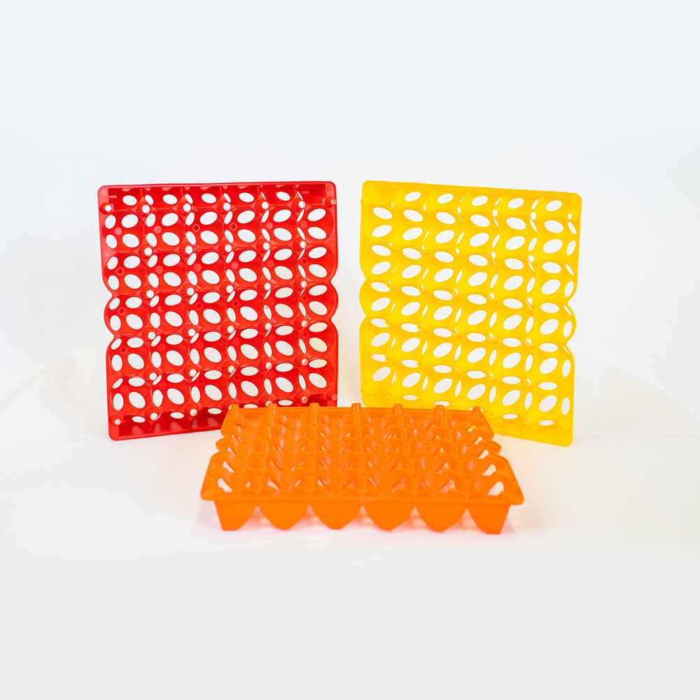 FILLER P/30 HUEVOS JUMBO