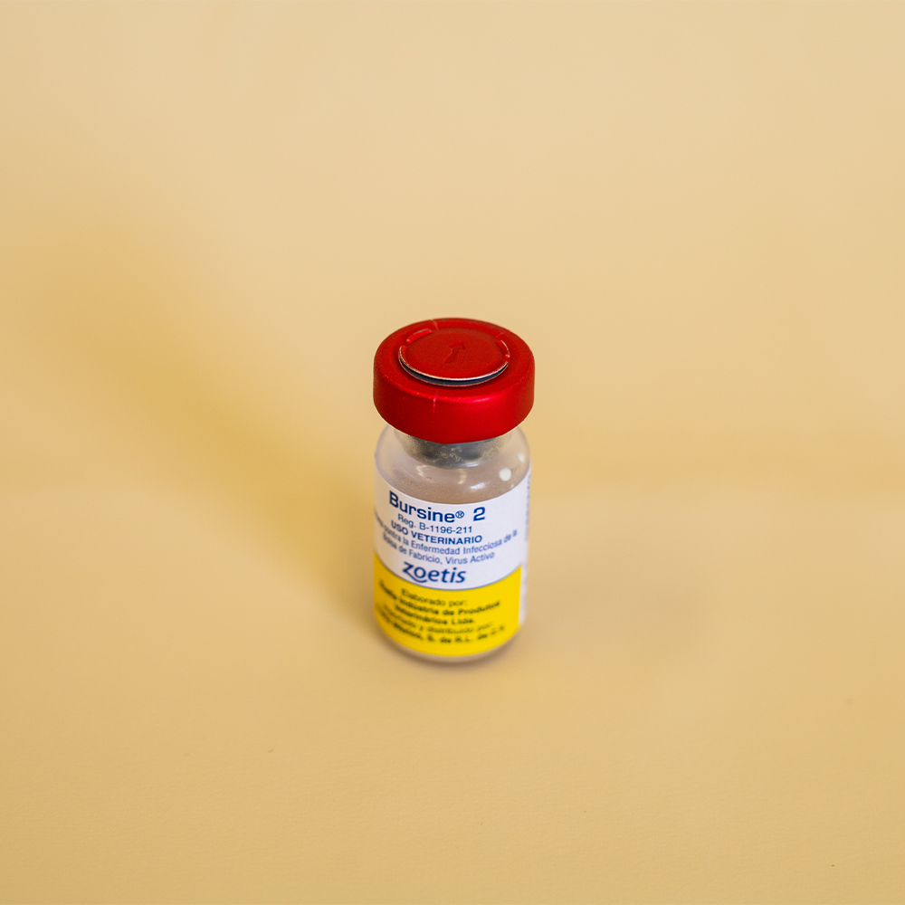 BURSINE 2 1,000 DS